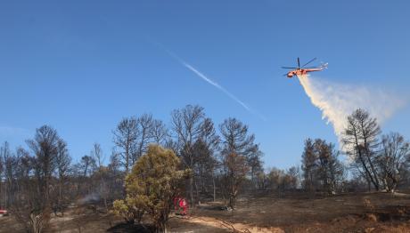 Φωτιά στο Σύδενδρο Γρεβενών - Μήνυμα του 112 για ετοιμότητα