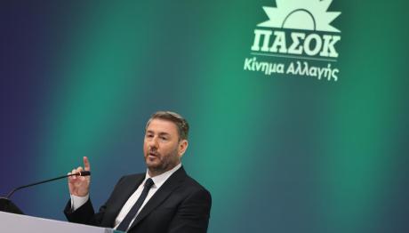 Νίκος Ανδρουλάκης
