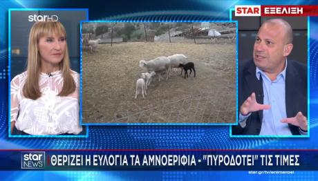 Eυλογιά - Αιγοπρόβατα