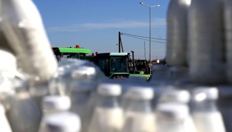 Γαλακτομικά