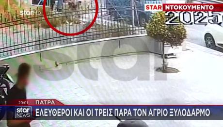 Πάτρα: Βίντεο ντοκουμέντο Με Τον Άγριο Ξυλοδαρμό Μαθητή