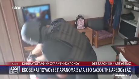 Κινηματογραφική Σύλληψη Παράνομου Υλοτόμου Στη Θεσσαλονίκη