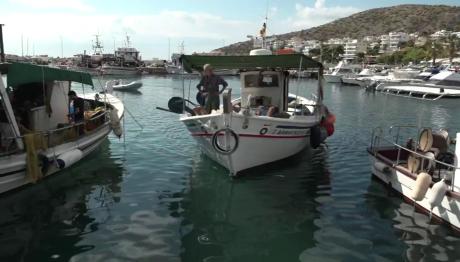 Άδειασαν Τα Δίχτυα Των Επαγγελματιών Ψαράδων