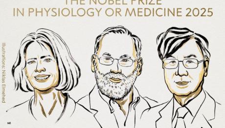Νόμπελ Ιατρικής 2025: Σε Τρεις Επιστήμονες Το Βραβείο
