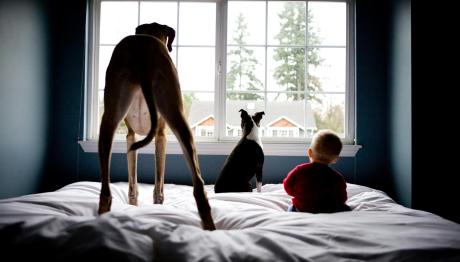 σκύλος και παιδί