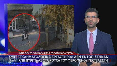Φοινικούντα δολοφονία