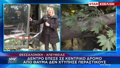 Θεσσαλονίκη: Δέντρο Καταπλάκωσε Αυτοκίνητο