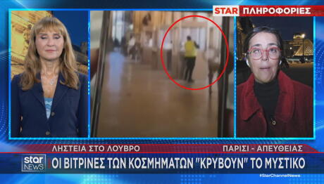 Μουσείο Λούβρου ανταπόκριση Μαρίας Δεναξά