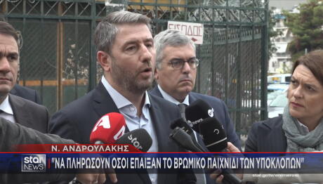 Νίκος Ανδρουλάκης