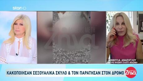 Ηλεία: Φρίκη Με Την Άγρια Σεξουαλική Κακοποίηση Σκύλου