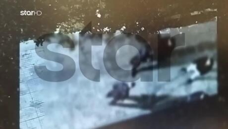 Πετρούπολη: Τρόμος Από Συμμορία Ανηλίκων