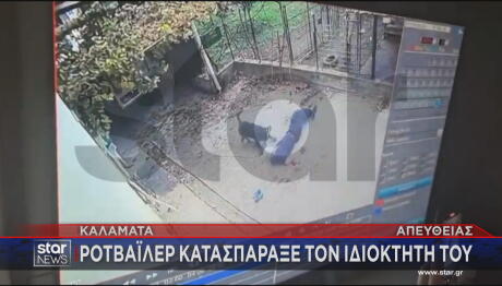 επίθεση  ροτβάιλερ σε 76χρονο