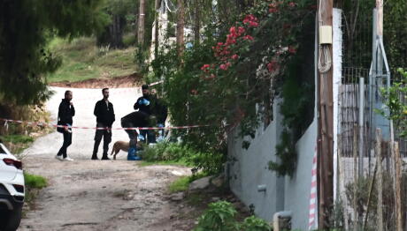 Σαλαμίνα: Από Χτυπήματα Από Ρόπαλο Ο Θάνατος Της 75χρονης