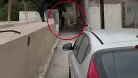 Βορίζια: Βίντεο Ντοκουμέντο Με Τον Γαμπρό Του 39χρονου