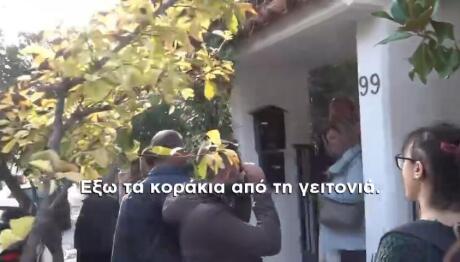 σφυρί πλειστηριασμοί