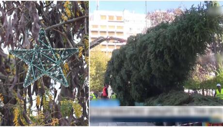 Χριστούγεννα 2025: Ημερομηνίες φωταγώγησης των δέντρων σε όλη την Ελλάδα