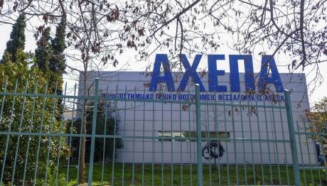 Ζευγάρι με οξεία ηπατική ανεπάρκεια μετά από κατανάλωση μανιταριών