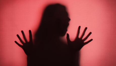 Ξυλοκόπησε Άγρια Τη Σύζυγό Του Μέσα Σε Φέρι Μποτ