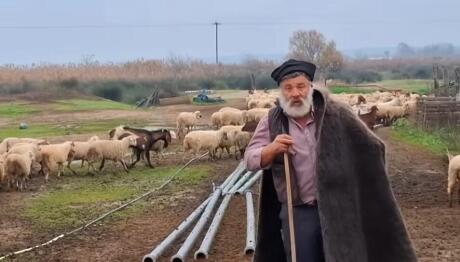 Με Εγκεφαλικό Ο Viral Κτηνοτρόφος Που Θρηνούσε Τα Ζώα Του