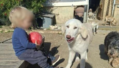 Ζάκυνθος: Σπαράζει Ο Πατέρας Του 2χρονου Λίο