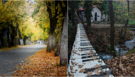 Παγκόσμια Ημέρα Βουνού