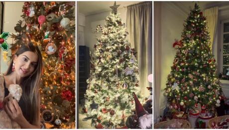 Το συμβολικό στολίδι που έχουν επώνυμες στα χριστουγεννιάτικα δέντρα τους
