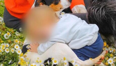 Ζάκυνθος: Σήμερα Η Κηδεία Του Λίο