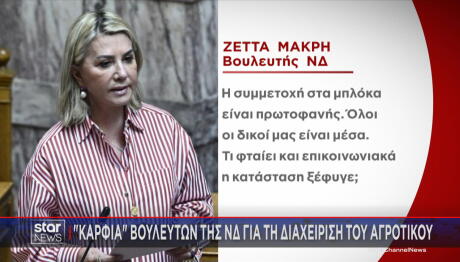 Ζέττα Μακρή καρφιά για Τσιάρα