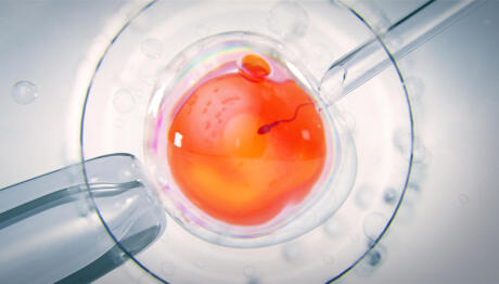 Επτά Κλινικές Στην Ελλάδα Χρησιμοποίησαν Σπέρμα Του Δότη