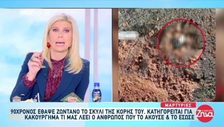 Νέα Μηχανιώνα: Τι Λέει Ο Άνθρωπος Που Έσωσε Τον Σκύλο