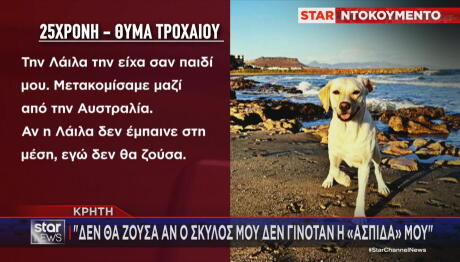 Σκύλος Έγινε «Ασπίδα» Για Να Σώσει Το Αφεντικό Του