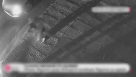 «Σβήσε το όχημα»: Η στιγμή της σύλληψης του γιου του Κατρίνη