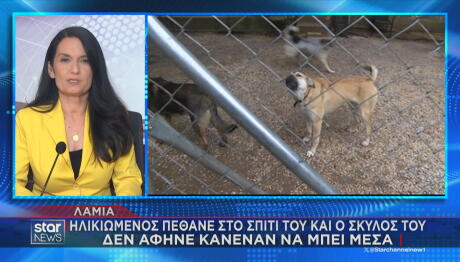 Λαμία - Σκύλος