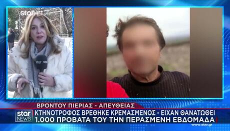 Πιερία: Κτηνοτρόφος Αυτοκτόνησε Μετά Τη Θανάτωση Ζώων Του