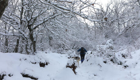 Έκτακτο Δελτίο Καιρού: Κύμα Ψύχους Από Την Κυριακή Με Χιόνια