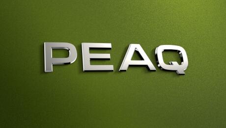 Skoda: Και το όνομα αυτού… Peaq