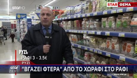 Ρύζι: Τιμές από το χωράφι στο ράφι και η αγωνία των Ελλήνων παραγωγών