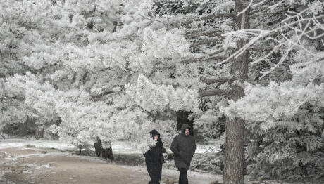 Καιρός: Ψύχος, παγετός και νέα κακοκαιρία με χιόνια