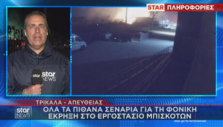 Βιολάντα τα αίτια της τραγωδίας