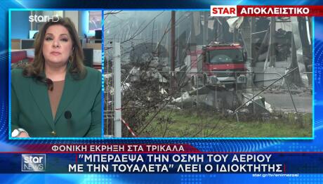 Βιολάντα: Τι Κατέθεσε Ο Ιδιοκτήτης Για Μυρωδιά Και Υπόγειο