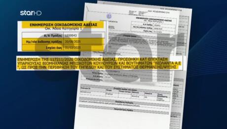 Βιολάντα: Έγγραφο Ντοκουμέντο - Ποιοι Καλούνται Για Κατάθεση