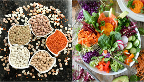 Φυτικές Ίνες