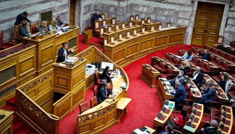 Βουλή Πλεύρης