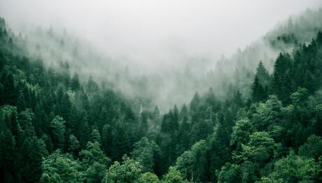 καθαρα δευτερα