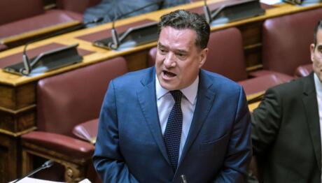 Άδωνις Γεωργιάδης Βουλή