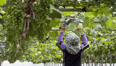 Hyundai: Έφτιαξε ρομποτικό γιλέκο για τους αγρότες