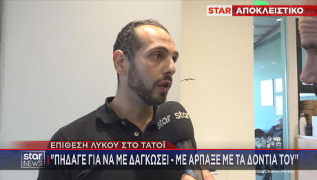 Τατόι λύκος