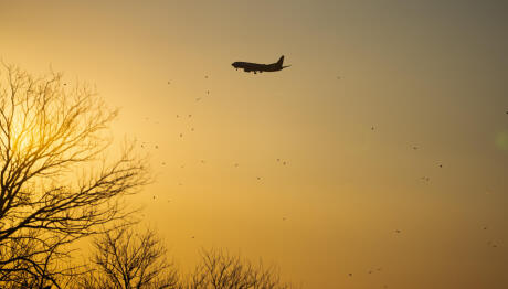 Ιράν: Ακυρώσεις Πτήσεων Από Αεροπορικές Εταιρείες