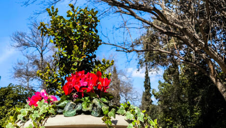 Καιρός: Άνοιξη μέχρι τη Δευτέρα- Φθινόπωρο από τα μέσα της άλλης εβδομάδας