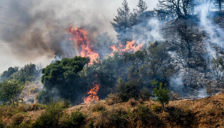 Φωτιά Τώρα Στην Κεφαλονιά - Ισχυρές Δυνάμεις Στο Σημείο